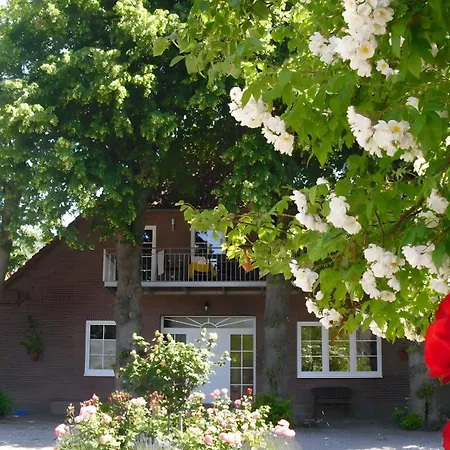 Haus An Der Brauerei - Sonnenblume פהמארן